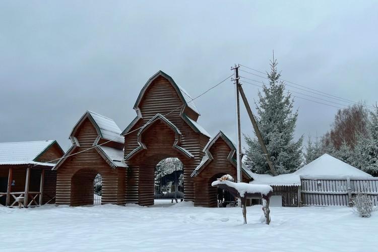 К перуанским альпакам и на лосиную ферму