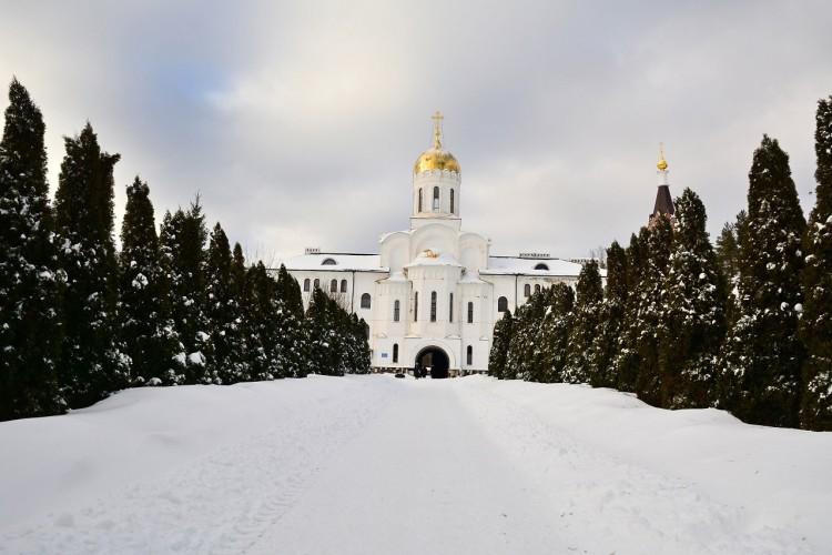 Рождественское чудо Сольбы